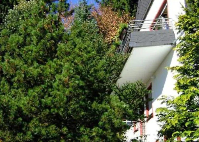 Napierski Apartment Willingen (Upland)